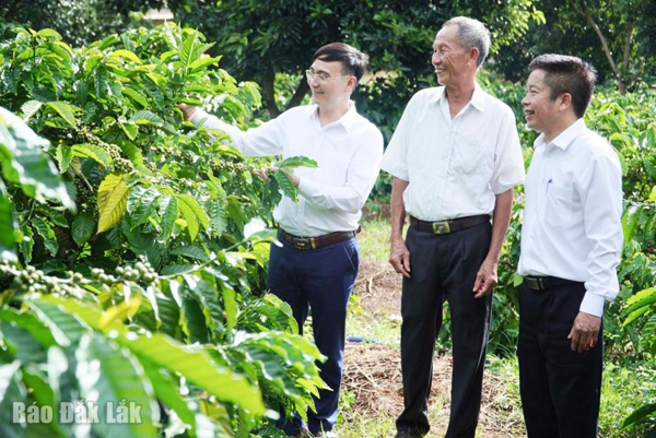 Khuyến nông Đắk Lắk đồng hành cùng nông dân