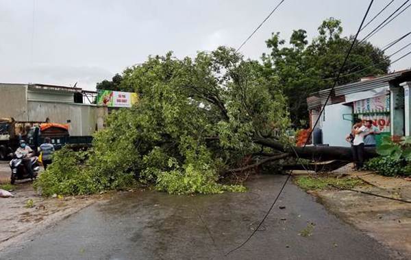 Biến đổi khí hậu gây ra nhiều hiện tượng thời tiết cực đoan ở Tây Nguyên