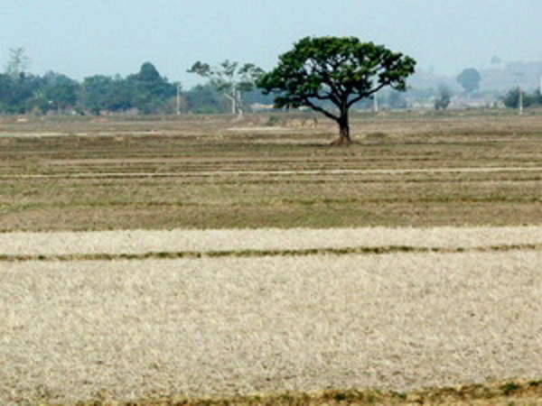 Tài nguyên đất ở Tây Nguyên ngày càng bị thoái hóa nghiêm trọng