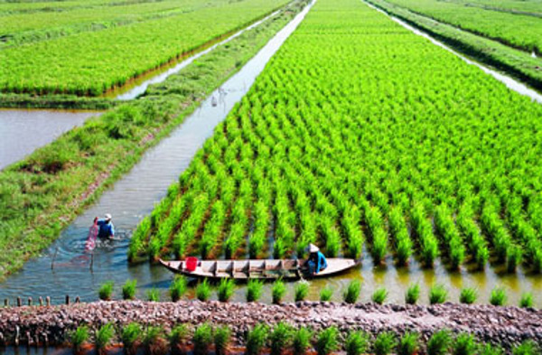 Ủy ban nhân dân tỉnh Đắk Lắk ban hành Chỉ thị về tăng cường công tác quản lý nhà nước về tài nguyên nước trên địa bàn tỉnh