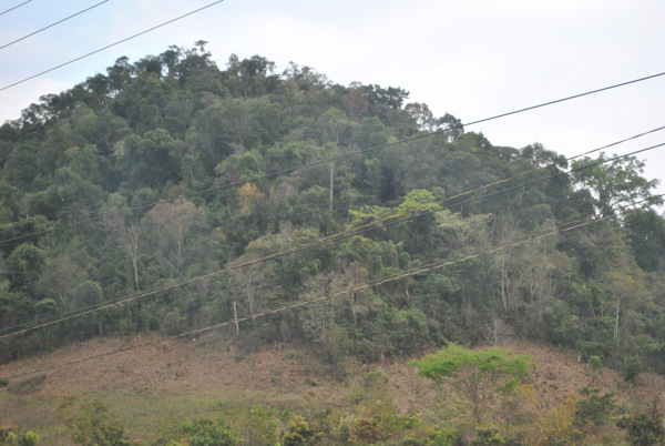  Đắk Lắk: Cần lập bản đồ địa chính, cấp giấy chứng nhận đối với diện tích đất thu hồi của các nông, lâm trường